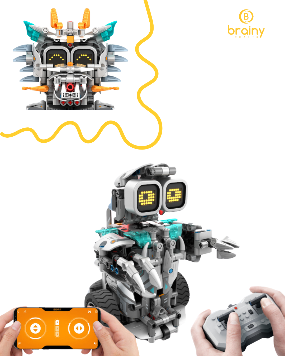 Brainy Crafts